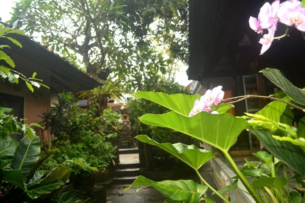 Hotel Manik House Ubud 0*,  Indonesien